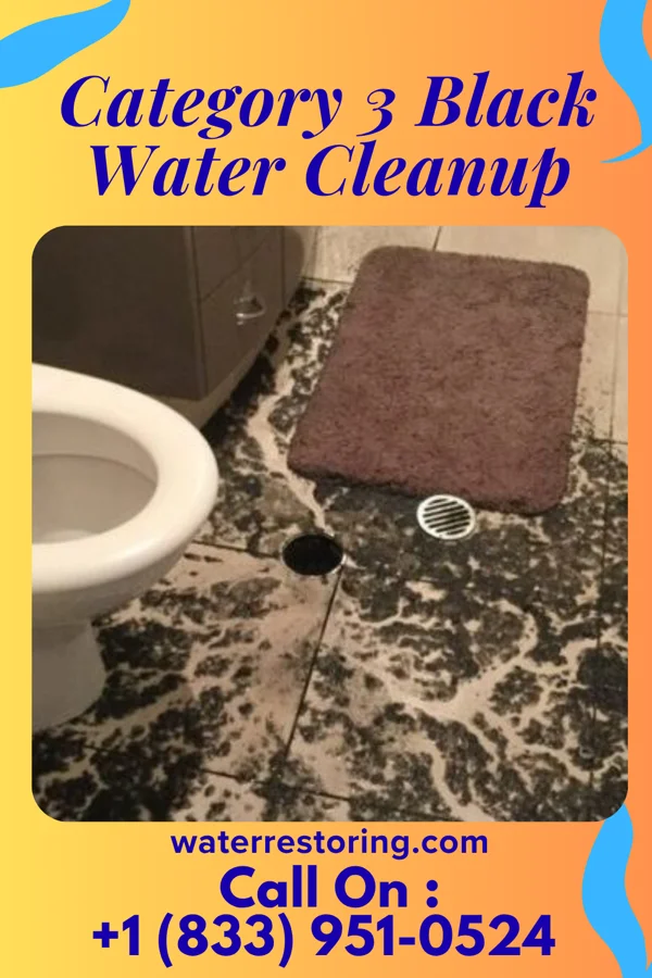 Category 3 Black Water Cleanup in Maryhill Estates, KY