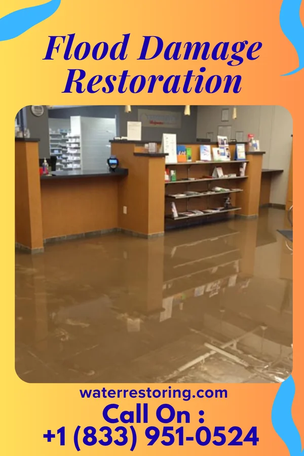 Flood Damage Restoration in Maryhill Estates, KY