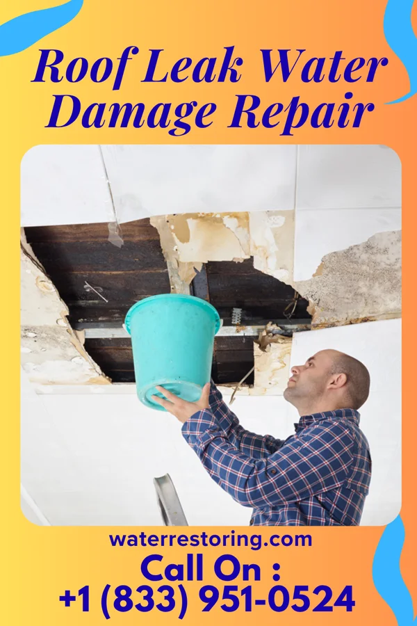 Roof Leak Water Damage Repair in Maryhill Estates, KY