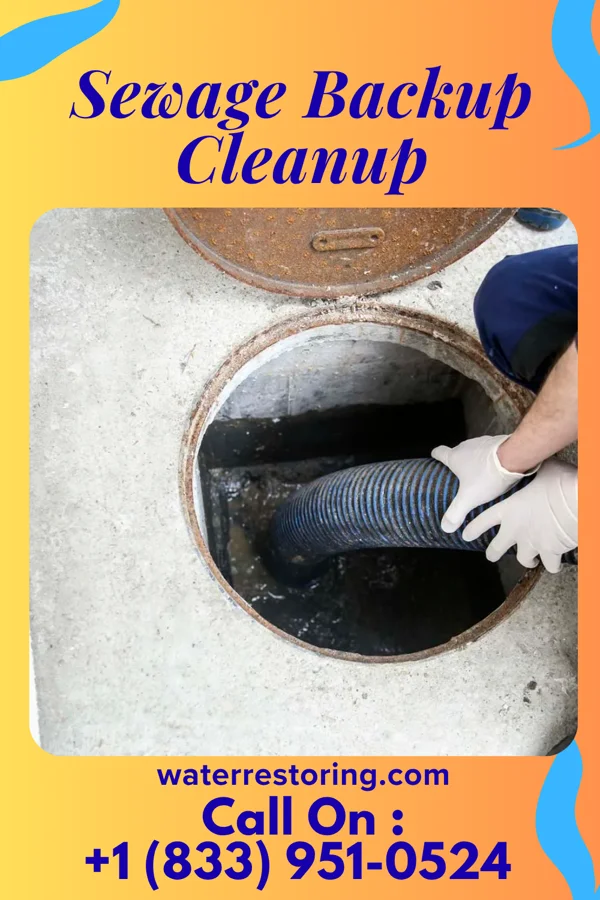 Sewage Backup Cleanup in Maryhill Estates, KY